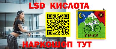 СК Моздок