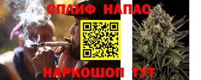СК Моздок