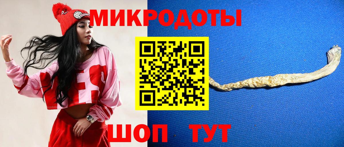Псилоцибиновые грибы GOLDEN TEACHER Фурманов